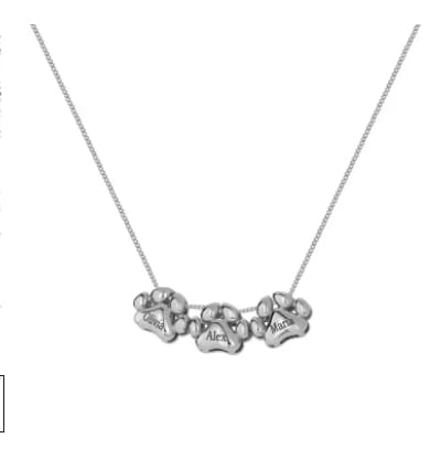 Personalized Silver Claw Necklace with Pendant