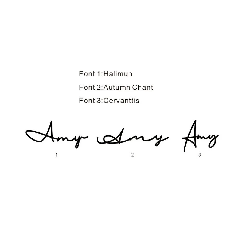 Drei Schriftarten für den Namen Amy auf einem silbernen, hohlen Halskettenanhänger aus Edelstahl.