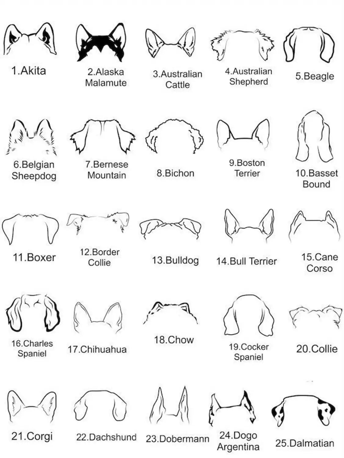 Gold Stainless Steel Dog Ear Round Name Necklace for Stylish Women