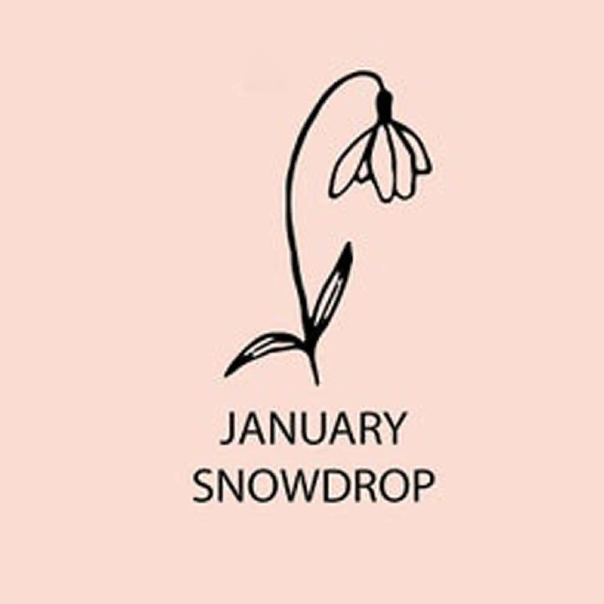 December Birthday Flower Name Necklace Personalized Stainless Steel - January / Steel - 7