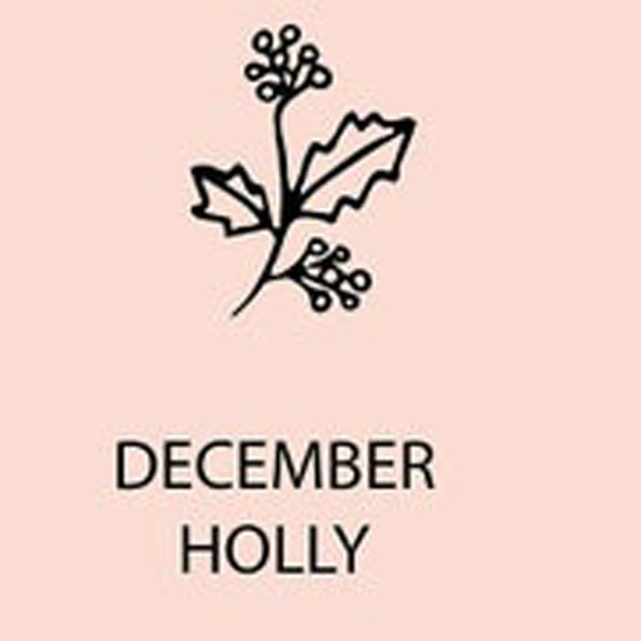 December Birthday Flower Name Necklace Personalized Stainless Steel - December / Steel - 7
