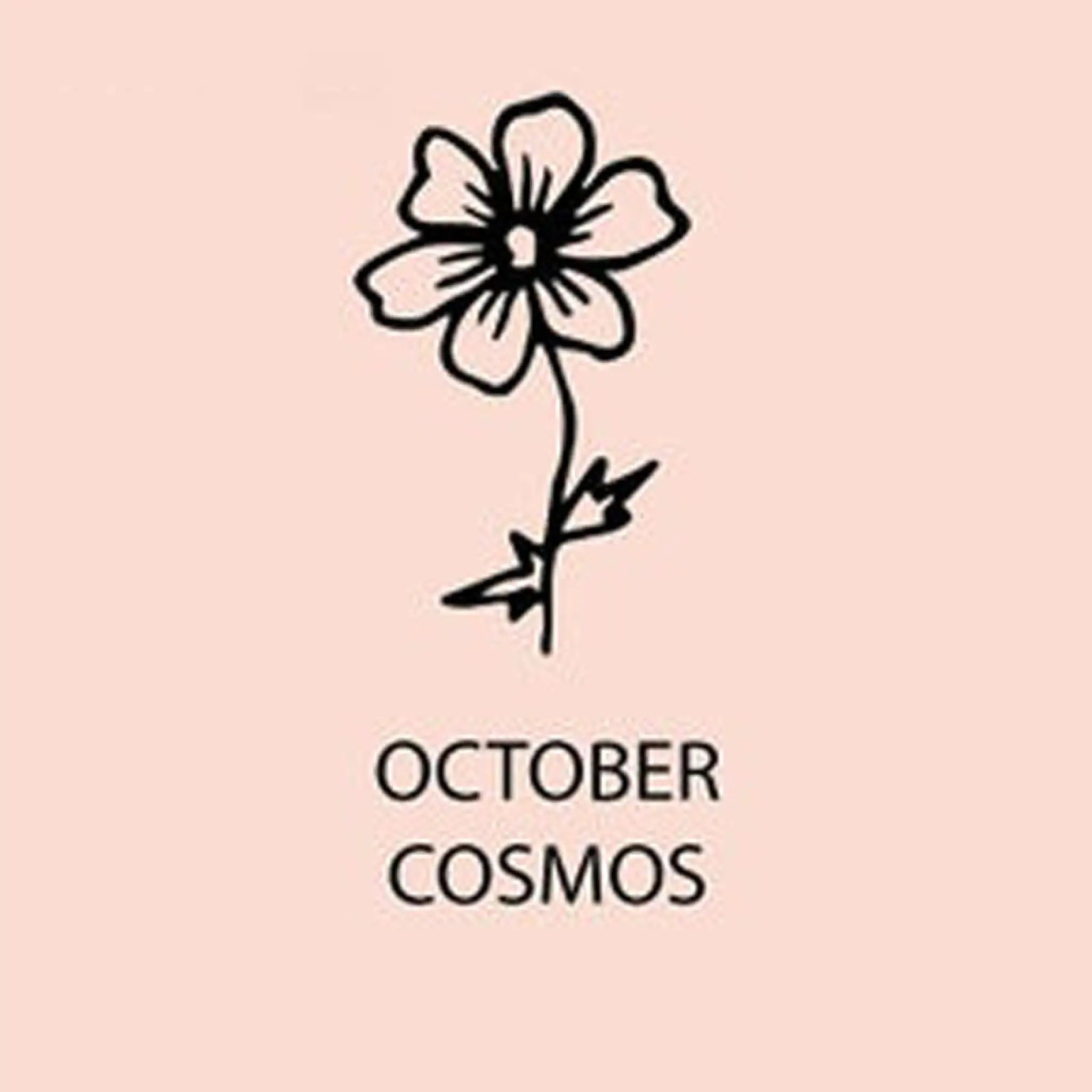 December Birthday Flower Name Necklace Personalized Stainless Steel - October / Steel - 7