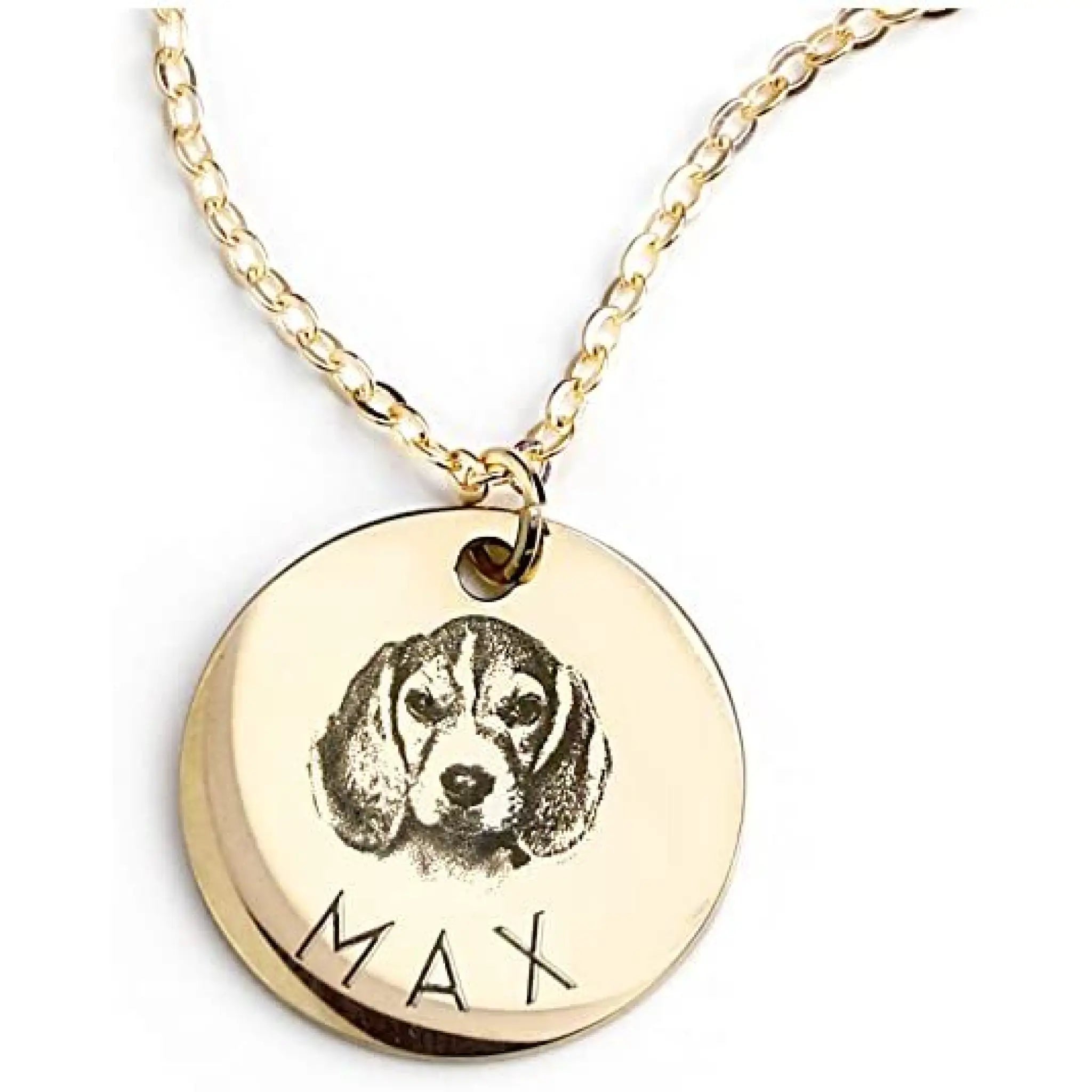 Personalized Pet Photo Disc Necklace Ladies Kitten Name Pendant Necklace Custom Animal Stainless Steel Necklace Jewelry