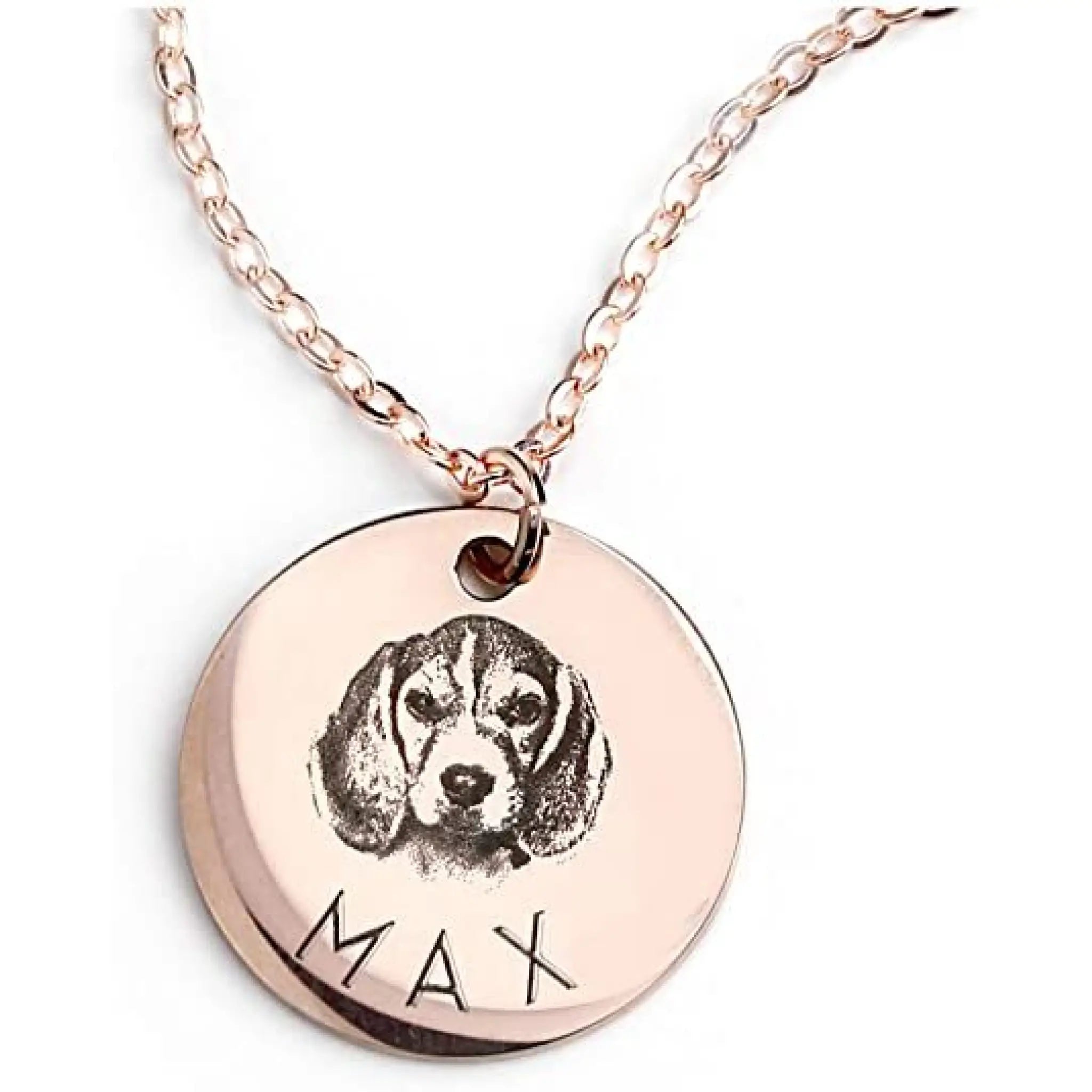 Personalized Pet Photo Disc Necklace Ladies Kitten Name Pendant Necklace Custom Animal Stainless Steel Necklace Jewelry