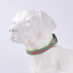Personalized Phone Name Embroidered Reflective Dog Collar - 7
